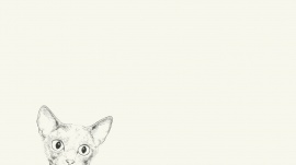 1室1厅1卫户型图