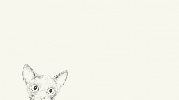 1室1厅1卫户型详情