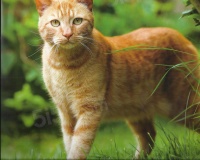 刁贵中测试（非bj）改