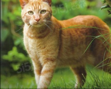 刁贵中测试（非bj）改