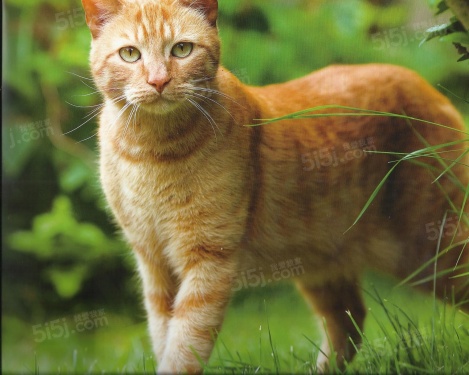 刁贵中测试（非bj）改第2张图