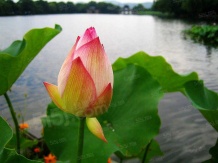 南昌测试华为云迁移二级合作方营业执照相册