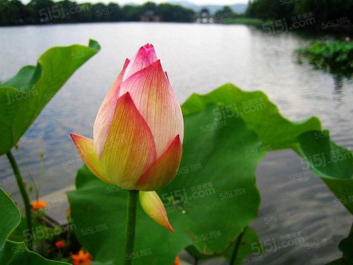 南昌测试华为云迁移第5张图