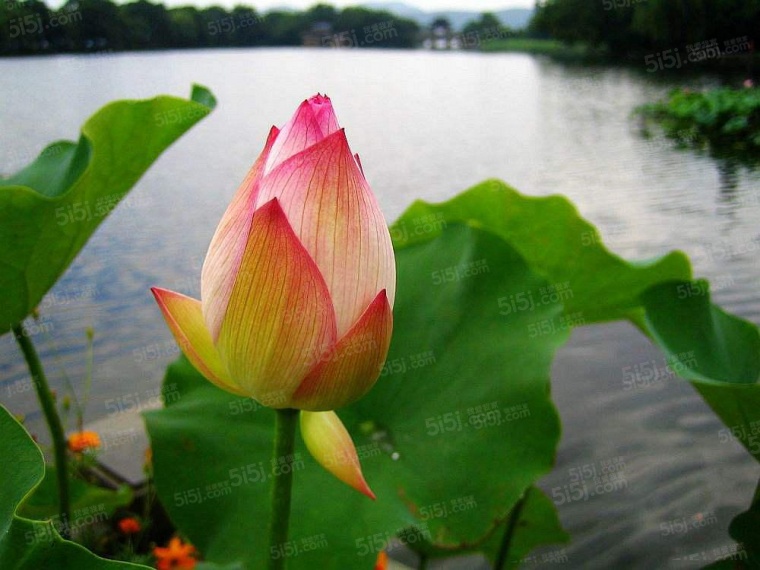 南昌测试华为云迁移实景图