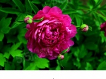 南昌测试华为云迁移二级合作方营业执照相册