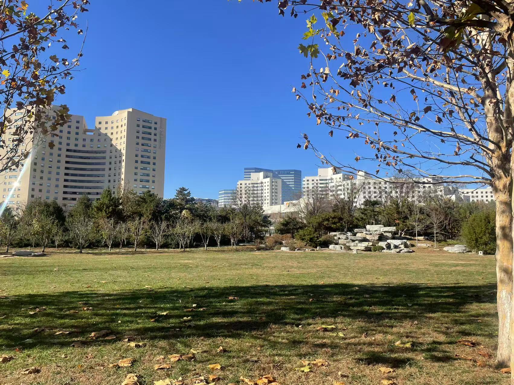 力高国资尚郡项目现场