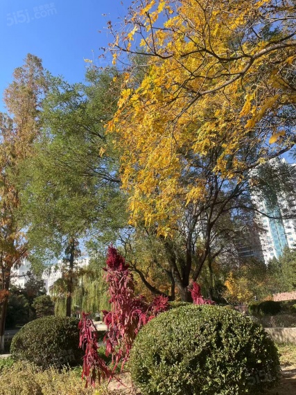 华润臻澐项目现场