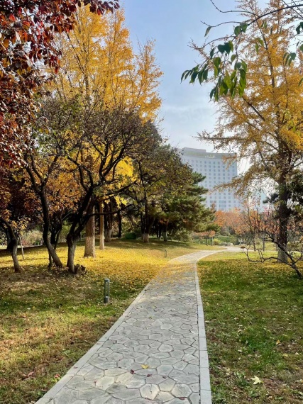 华润臻澐样板间