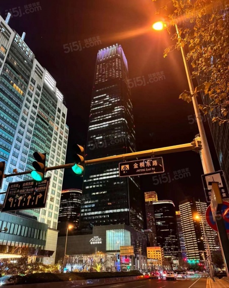 华润臻澐样板间