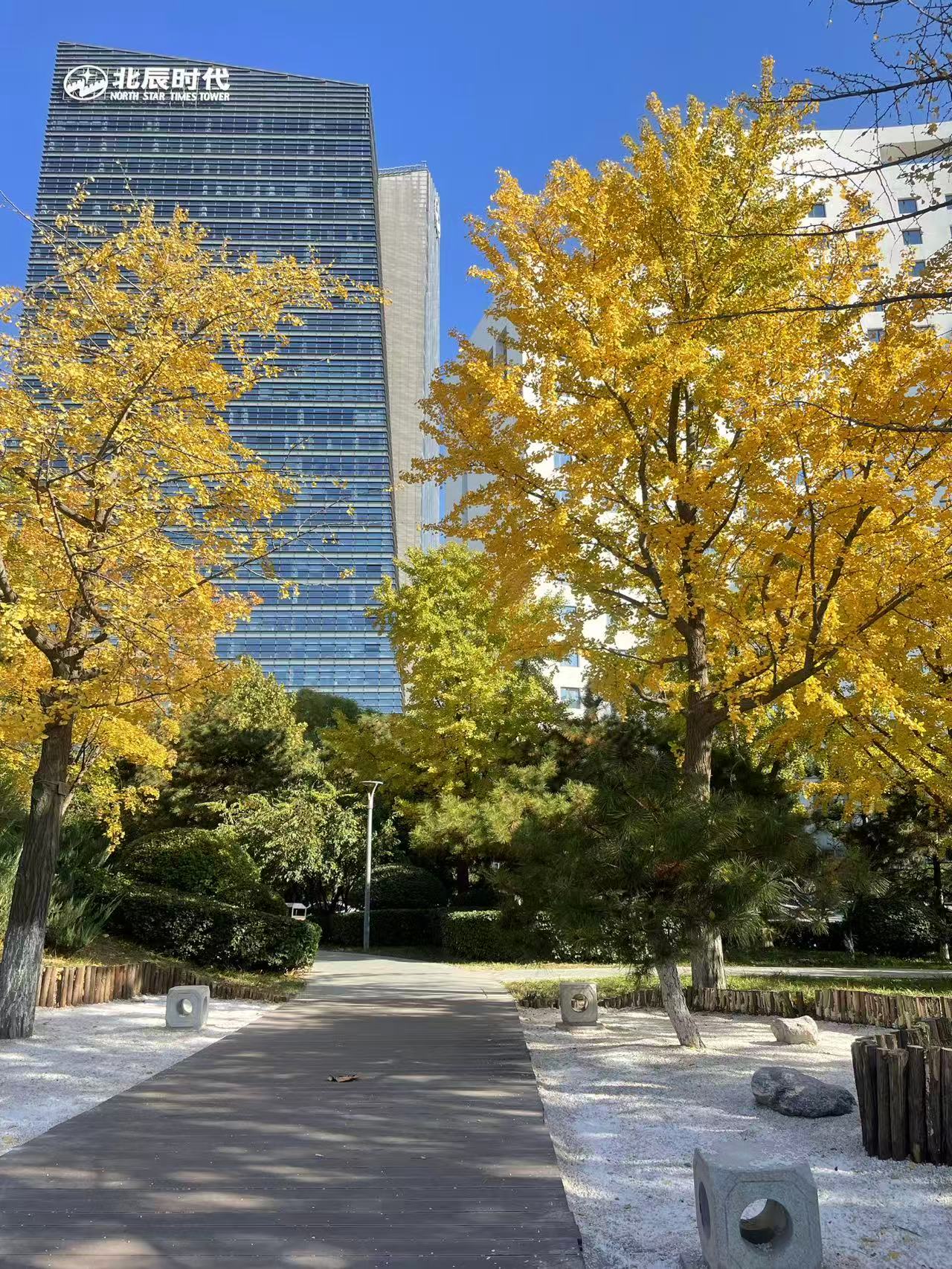 华润臻澐实景图