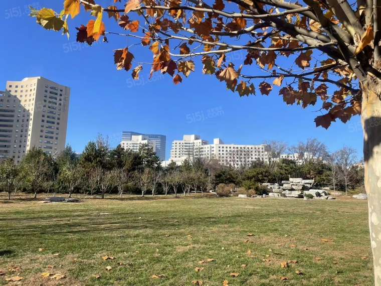 华润臻澐效果图